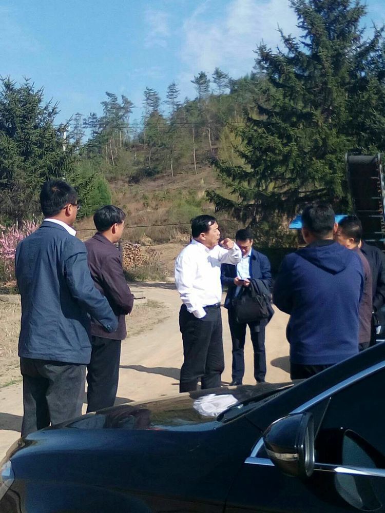 澳门威尼斯