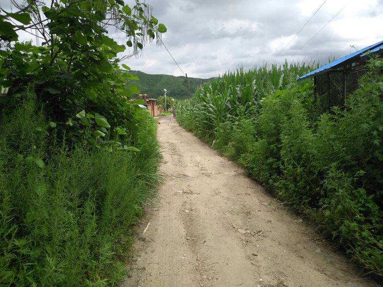 澳门威尼斯