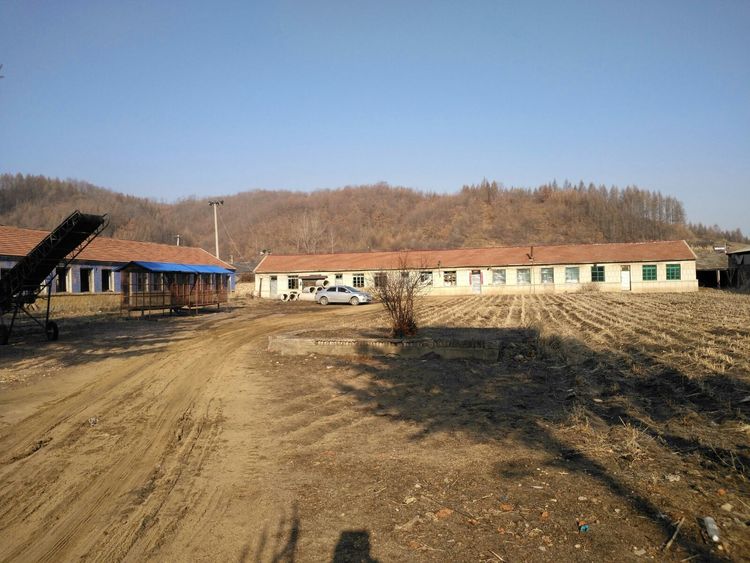 澳门威尼斯